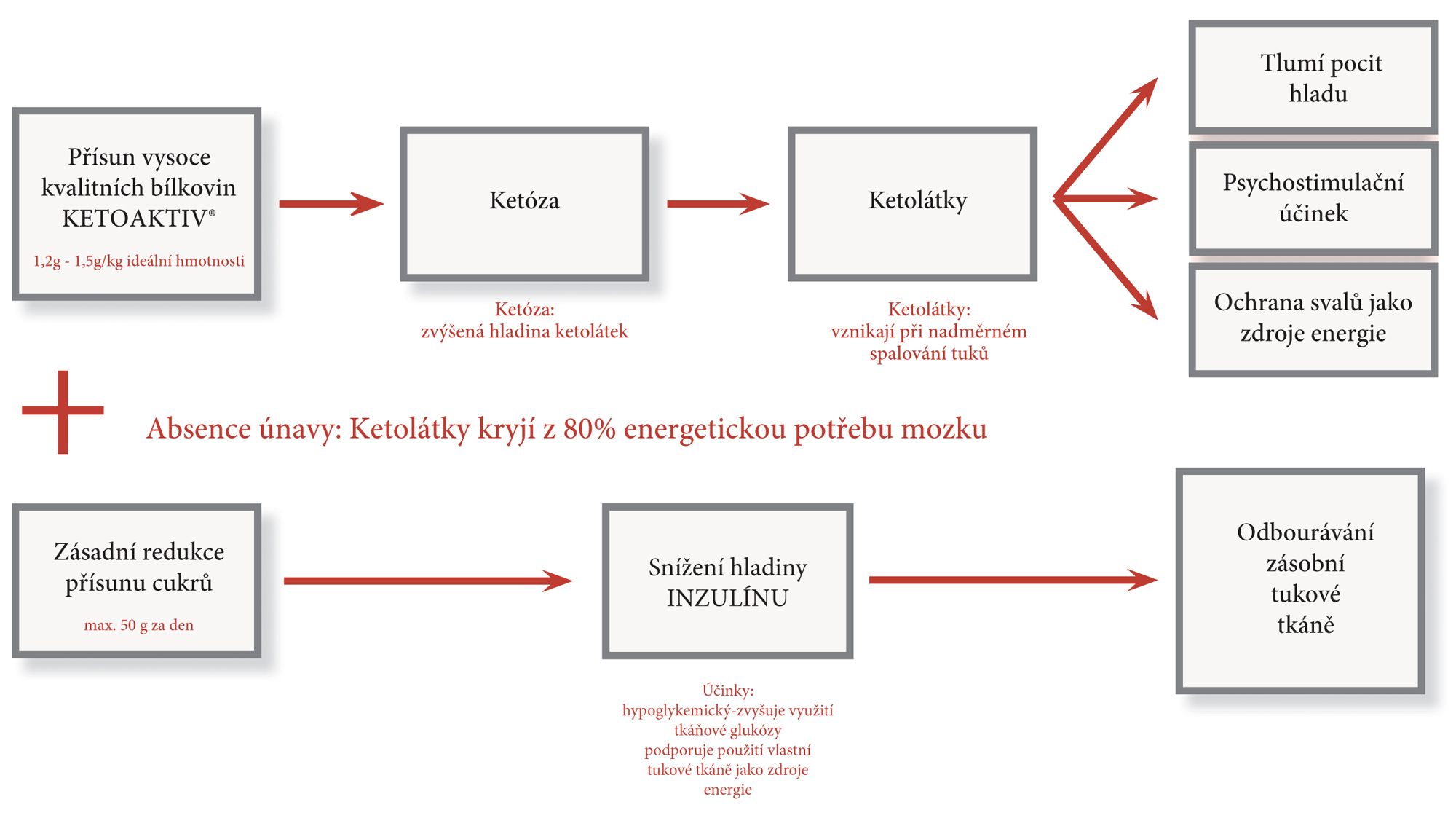 schema ketozy